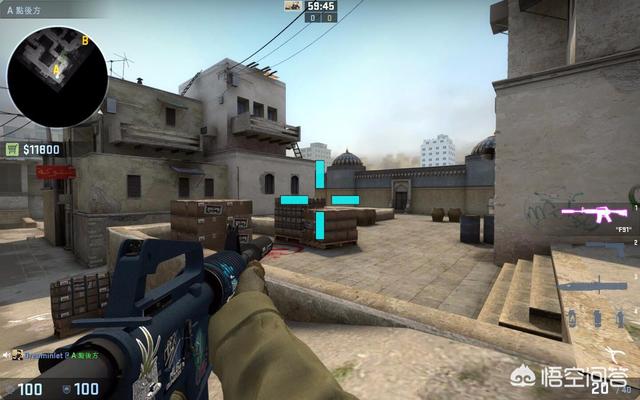 Virtus.pro 替换 Xoma 为 PASHANOJ